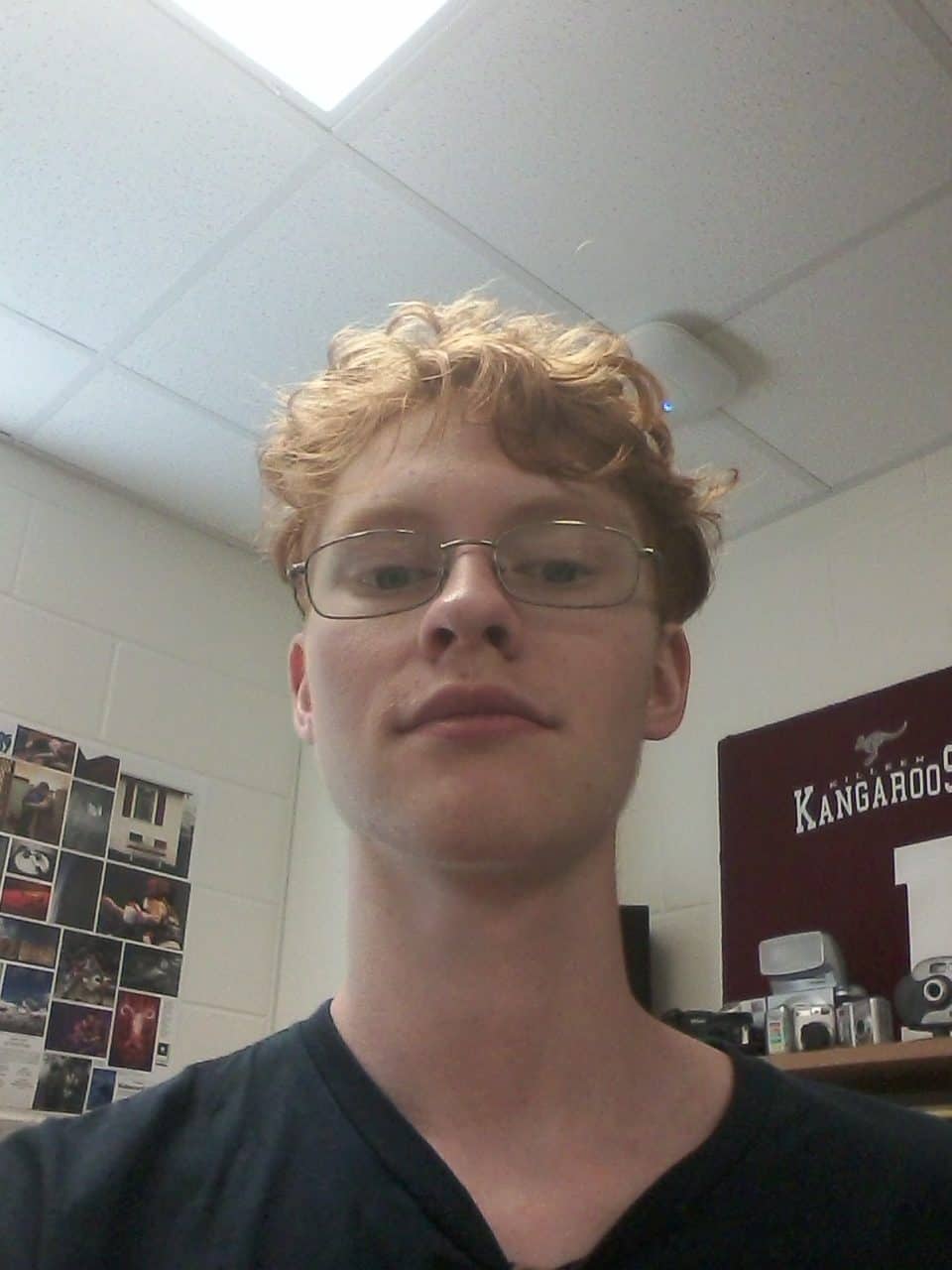 Führerschein kaufen Erfahrung